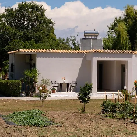 Semesterbostad Dafni Holiday Home *
