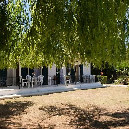 Dafni Holiday Home Semesterbostad