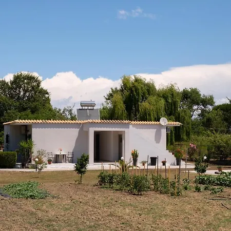 Dafni Holiday Home * רודה